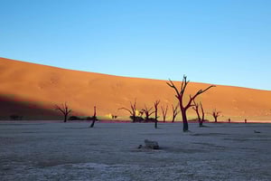 Sossusvlei: 4x4 Drive 3-Day Sossusvlei Adventure