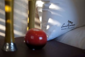 Sun Karros Daan Viljoen