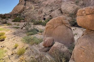 Walvis Bay: Cruiseliner Excursions