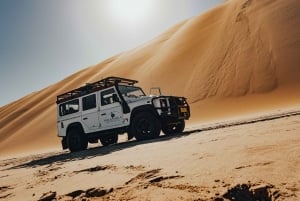 Walvis Bay: Crucero con delfines, lagos rosas y paseo en 4x4 por las dunas