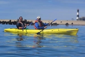 Walvis Bay: Excursión en Kayak por Pelican Point