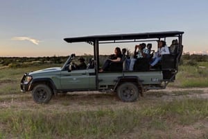 Windhoek: Rhino Tracking Tour with Hotel Pickup