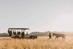 Zannier Game Drive with Hotel Pickup