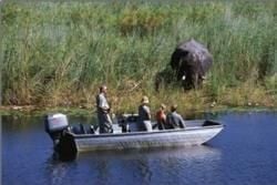 Okavango