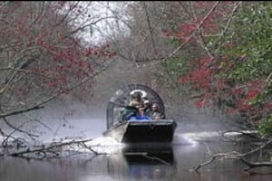 Airboat Tour of Louisiana Swamps