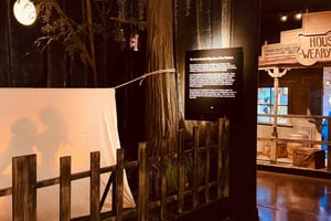 New Orleans Storyville Museum: All Access Ticket