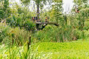 Nowy Orlean: Zipline na bagnach