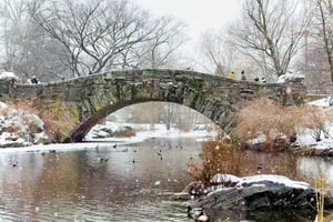 NYC: Home Alone 2 & Elf Locations Tour in Central Park