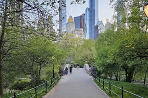 Central Park, NY: Natur, Architektur und Filmszenen Tour