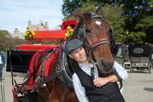Central Park: Short Horse Carriage Ride (Up to 4 Adults)
