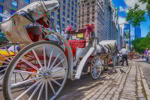 Jul i Central Park: Jultur med häst och vagn