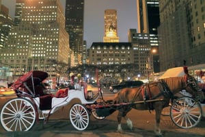 Jul i New York: Julbelysning och hästdroskor