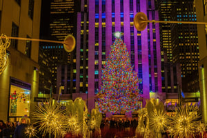 Jul i New York: Winter Wonderland Experience