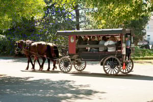 Vanuit NYC: Dagtrip naar Philadelphia en Amish Country