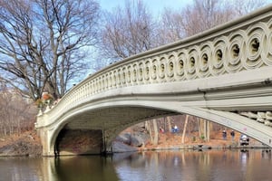 Guided Economy Pedicab Tour in Central Park