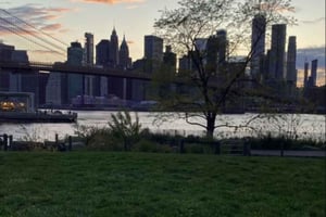 ニューヨーク：セントラルパークで素敵なピクニックアドベンチャーをお楽しみください