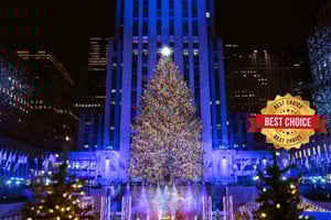 New York: Kerstboom Express Tour per Riksja