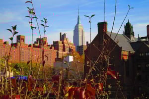 New York City: High Line Walking Tour