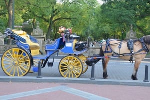NYC: Hevoskärryajelu Central Parkissa