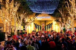 NYC Christmas Express: Guidad tur bland julbelysningen