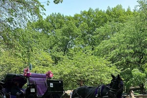 NYC: Empire State Horses Kutschfahrt im Central Park
