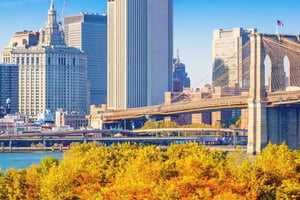 NYC: Fall Foliage Cruise with Live Guide