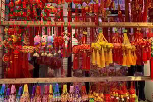 NYC | French guided tour Greenwich Village through Chinatown