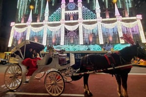 NYC: Passeio privado de carruagem a cavalo pelas luzes de Natal