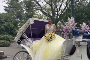 Officiell exklusiv VIP-hästvagnstur i Central Park