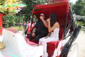Passeio de carruagem romântico/pedido de casamento no Central Park até 4 adultos