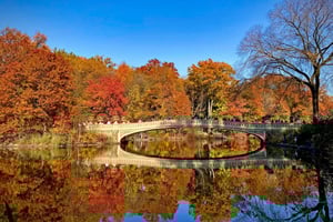 Willkommen in New York: Broadway, 5th Avenue, Central Park Tour