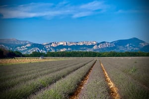 Bespoke Luxury Sightseeing Experiences