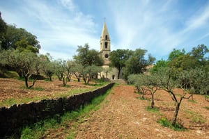 Churches of Provence & French Countryside Private Tour