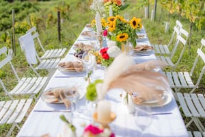 Dinner in the vineyard French Riviera