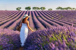 From Nice: Full-Day Provence and Lavender Tour