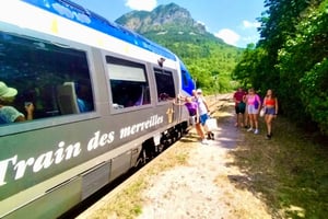 From Nice: Historic Train Ride & Alps Villages
