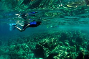 Nice: Snorkeling Speedboat Tour in Villefranche Bay
