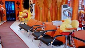 Bold and Beautiful Salon and Spa