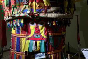 Enugu: Stadsrondleiding met Ngwo dennenbos en waterval