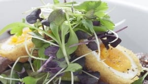 Four Points Sunday Brunch