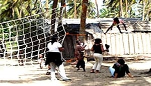 Halemson Seaside Resort