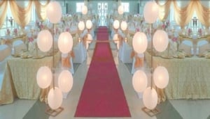 Haven of Imagination - Hoimagination