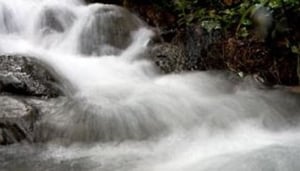 Ikogosi Warm Spring And Resort