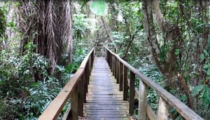 Lekki Conservation Centre, Lagos