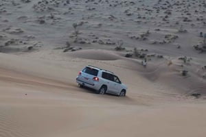 Avventura nel deserto in 4x4: safari nel quartiere vuoto