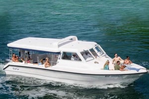 Wycieczka na wyspę Daymaniat z nurkowaniem