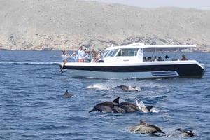 Mascate: Passeio de barco para observação de golfinhos