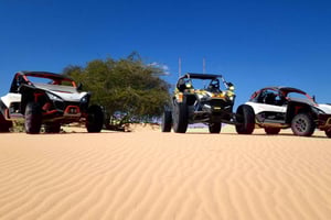 Wahiba Sands Dünen-Buggy zum Selberfahren: 1-stündiges Abenteuer in der Wüste