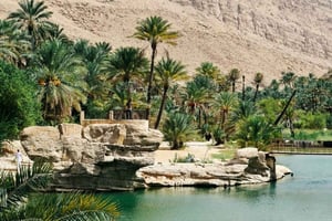 Från Delhi: Privat heldagsutflykt i Jaipur med expertguide