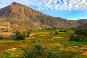 Desde Jasab: Excursión de snorkel y a la montaña Jebel Harim